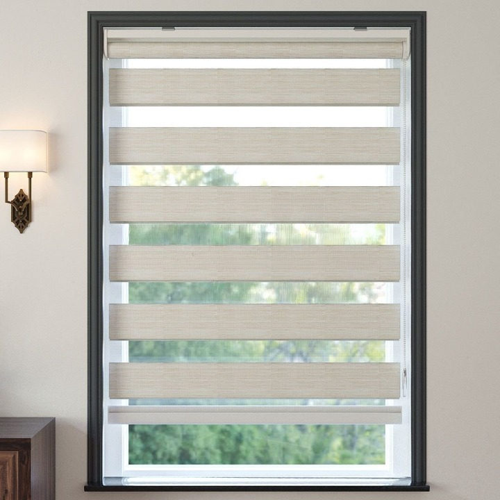 Cream Plain Zebra Roller Blind