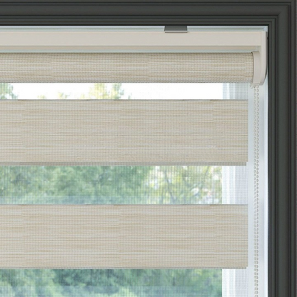 Cream Plain Zebra Roller Blind