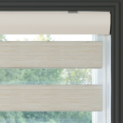 Cream Plain Zebra Roller Blind
